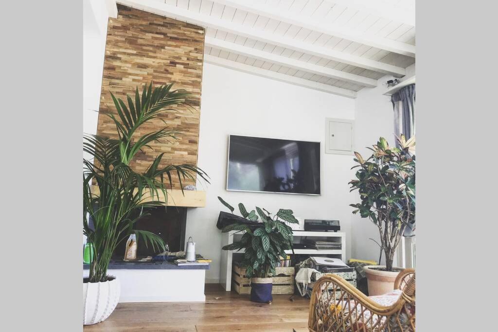 Ferienwohnung Viareggina Con Giardino Marina Di Pisa Exterior foto