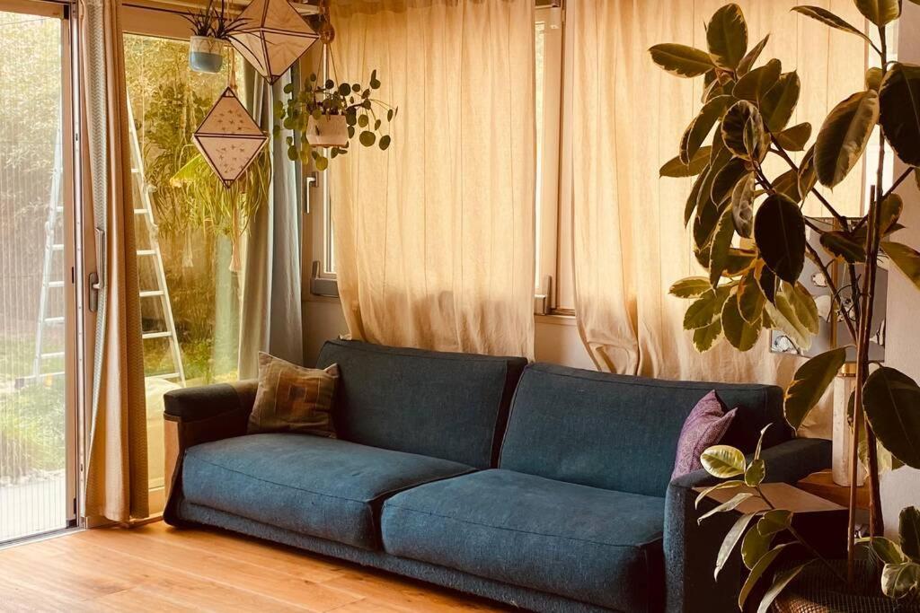Ferienwohnung Viareggina Con Giardino Marina Di Pisa Exterior foto
