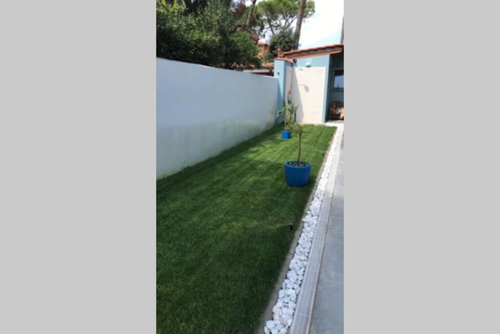 Ferienwohnung Viareggina Con Giardino Marina Di Pisa Exterior foto